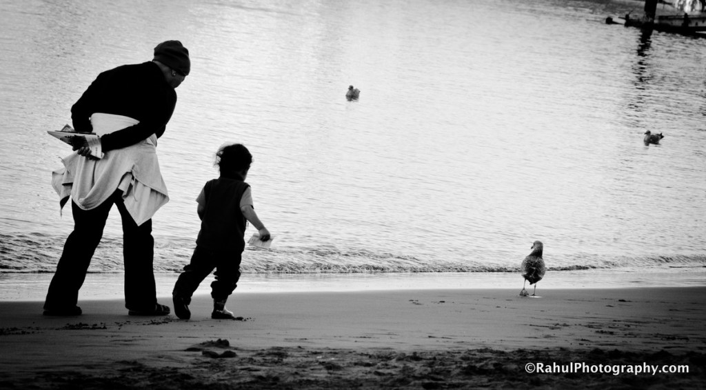 Rahul Photography
rahulphotography.com